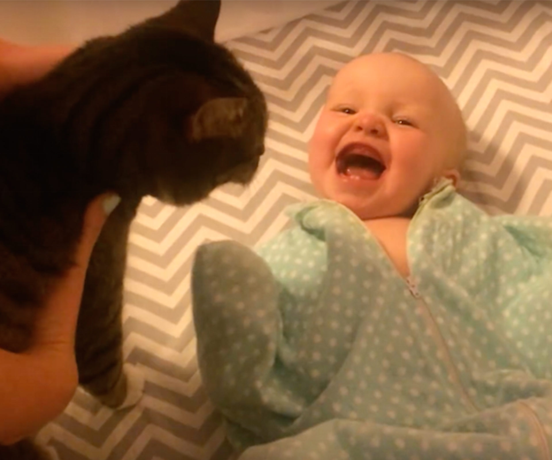 Meet the adorable baby that LOVES the family cat