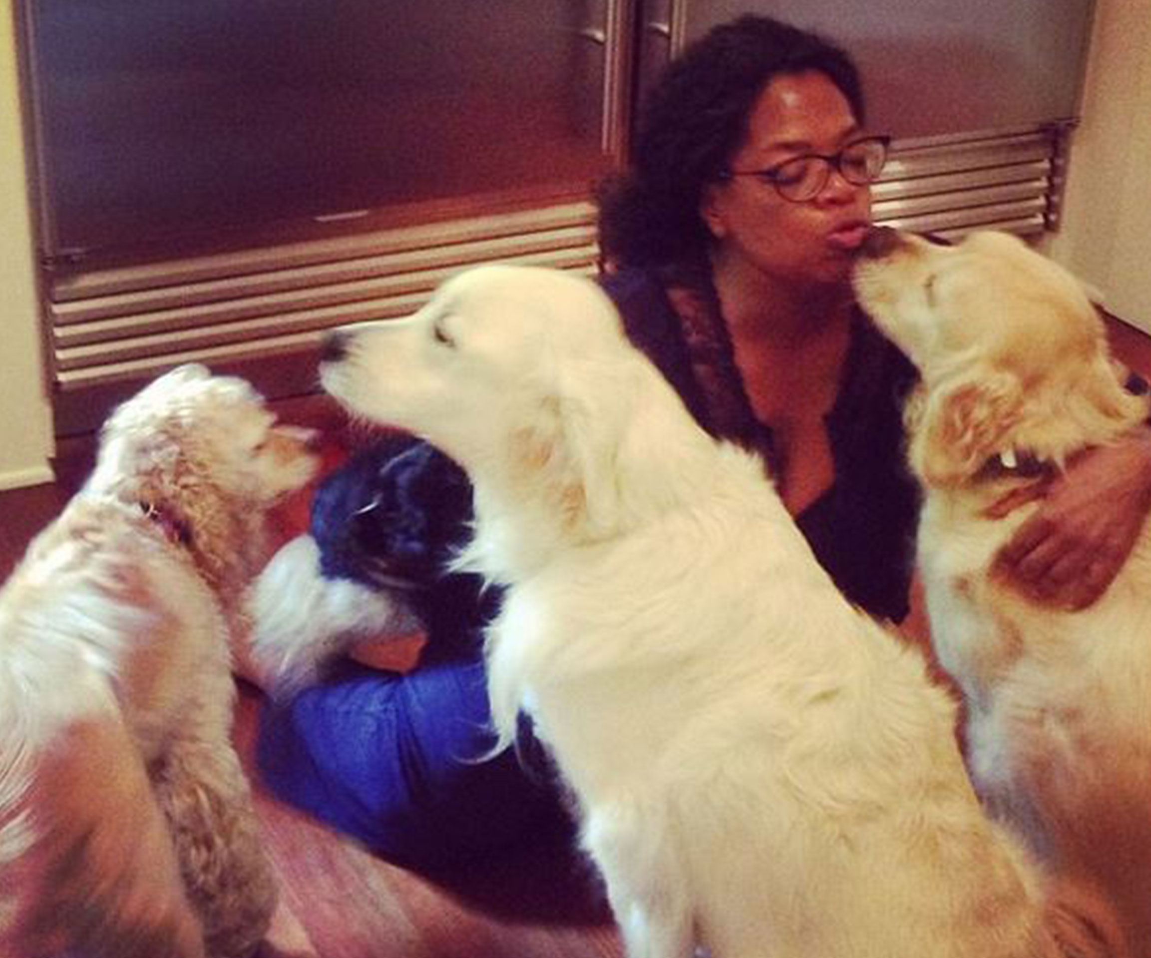 Oprah and her dogs