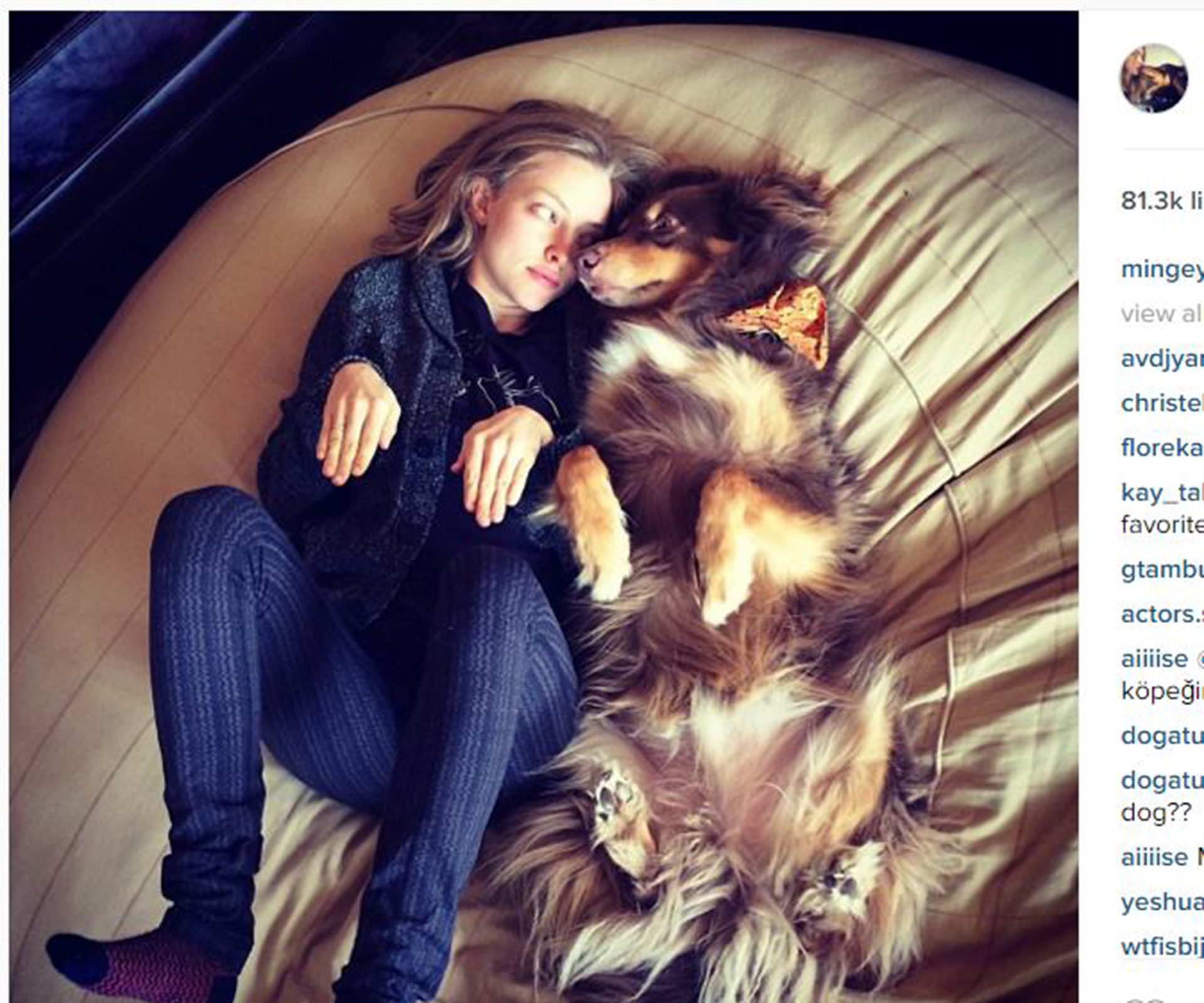 10 times Amanda Seyfried’s dog was the cutest