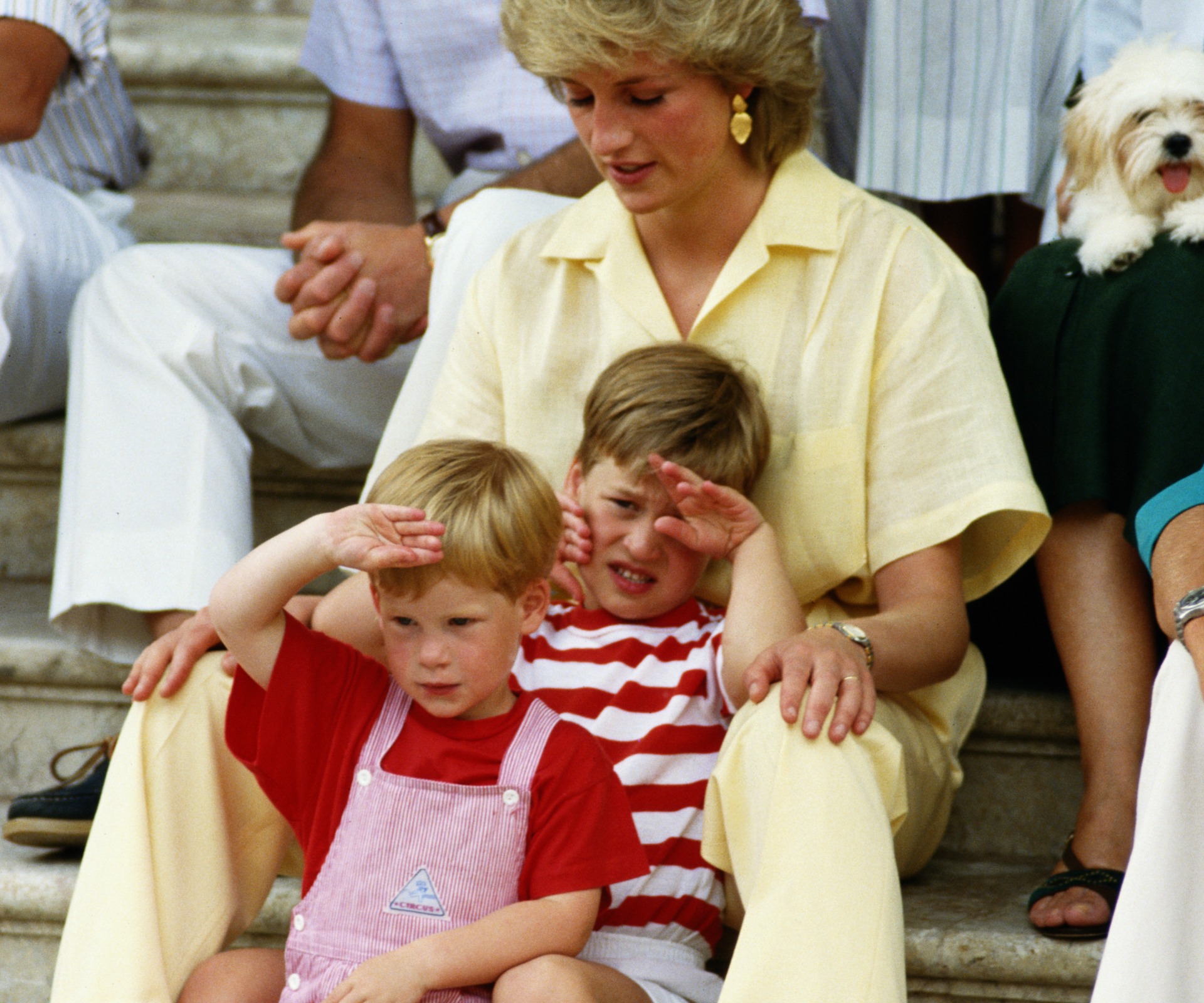 Prince Harry, Prince William, Princess Diana
