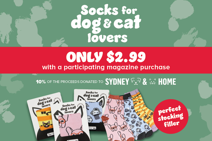 Dog and Cat Socks Only $2.99* When You Purchase Your Favourite Magazine